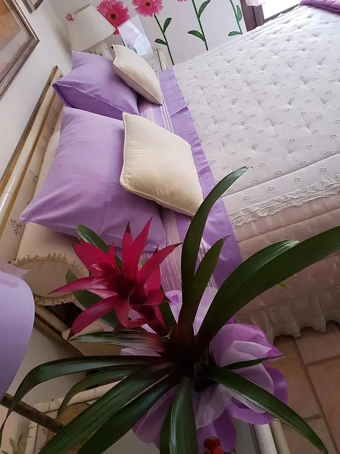 Bed and breakfast B&B La Delice Dalmine